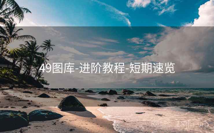 49图库-进阶教程-短期速览